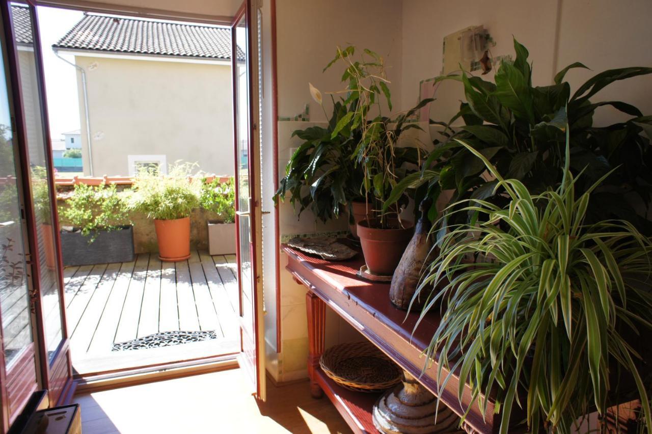 Mas Terre Chambres D'Hotes Lezoux 外观 照片